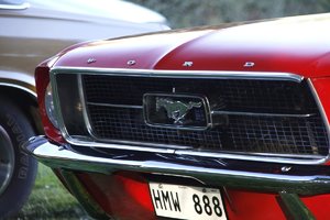 comp_Mustang 2_cleaned.jpg