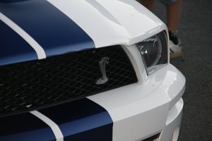 comp_Shelby Cobra2_cleaned.jpg