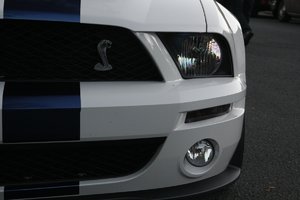 comp_Shelby Cobra5_cleaned.jpg
