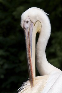 DSC_0469 aus dem RAW.jpg