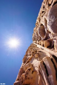 500k_SDIM1972_filtered.jpg 500k_SDIM1972_filtered.jpg