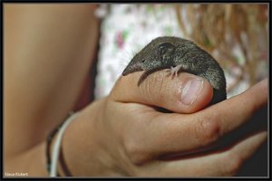 Sample 3.jpg Sample 3.jpg