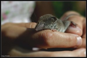 Sample 4.jpg Sample 4.jpg