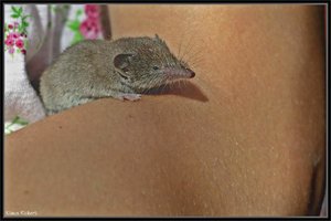 Sample 5.jpg Sample 5.jpg