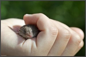 Sample 8.jpg Sample 8.jpg