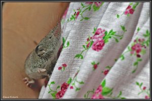 Sample 6.jpg Sample 6.jpg