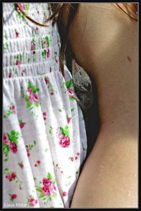 Sample 1.jpg Sample 1.jpg