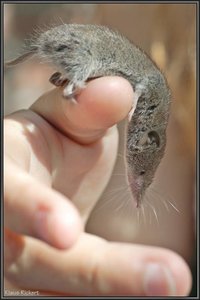 Sample 2.jpg Sample 2.jpg