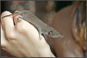 Sample 9.jpg Sample 9.jpg