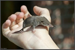 Sample 10.jpg Sample 10.jpg