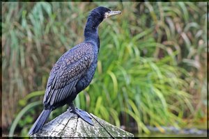 Sample 12.jpg Sample 12.jpg