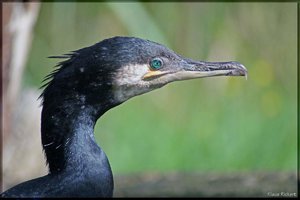 Sample 15.jpg Sample 15.jpg