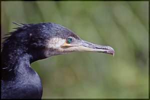 Sample 16.jpg Sample 16.jpg