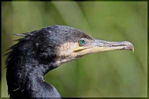 Sample 17.jpg Sample 17.jpg