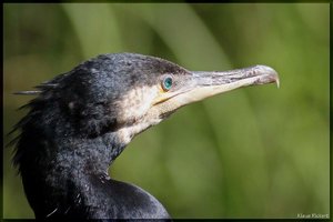 Sample 18.jpg Sample 18.jpg