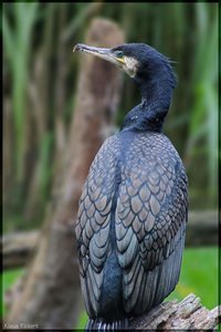 Sample 19.jpg Sample 19.jpg