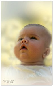 comp__DSC5279 -1.jpg