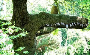 Astloch und Phantasie ergibt.jpg