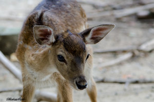 D7K_2347.jpg D7K_2347.jpg