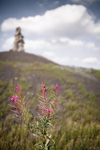 20120827-007-2 bearb..jpg