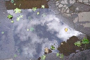 Stilles WasserDSC01716.jpg