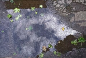 Stilles WasserDSC01716 Kopie.jpg