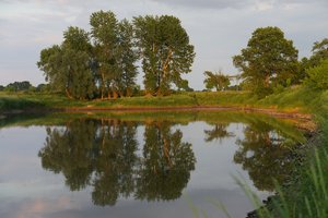 NEX_001.jpg NEX_001.jpg