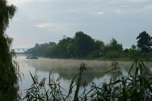 NEX_004.jpg NEX_004.jpg