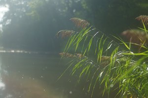 NEX_005.jpg NEX_005.jpg