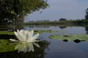 NEX_008.jpg NEX_008.jpg