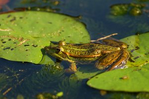 NEX_010.jpg NEX_010.jpg