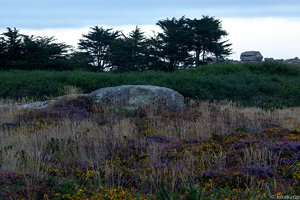 Cote Granite Rose_12-08-18_IMG_4912-Bearbeitet.jpg