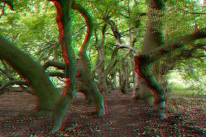 comp__SAM1856 3D.jpg