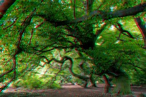 comp__SAM5036_7_8_tonemapped 3d.jpg