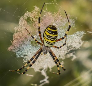 _MG_8791fff.jpg _MG_8791fff.jpg