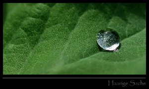 DSC_7010_ji_cr.jpg DSC_7010_ji_cr.jpg