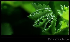 DSC_7022_ji_cr.jpg DSC_7022_ji_cr.jpg