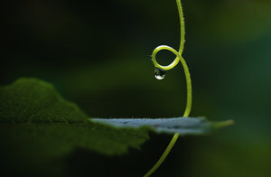 20110726-014-2 bearb..jpg