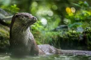 500-IMG_1543.jpg 500-IMG_1543.jpg