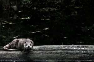 500-IMG_1670_2.jpg 500-IMG_1670_2.jpg