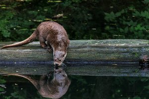 500-IMG_1672_2.jpg 500-IMG_1672_2.jpg