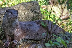 500-IMG_1821.jpg 500-IMG_1821.jpg