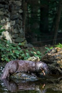 500-IMG_1851.jpg 500-IMG_1851.jpg