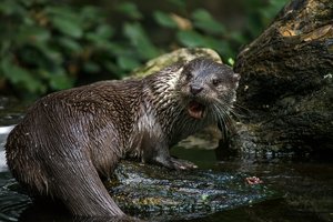 500-IMG_1861.jpg 500-IMG_1861.jpg