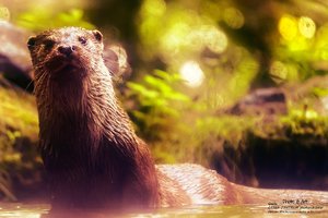 500-IMG_1542_3.jpg 500-IMG_1542_3.jpg