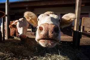 1shot1moment@bilderforum (1 von 1).jpg