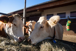 1shot1moment@bilderforum (1 von 1)-2.jpg