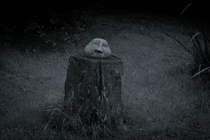 Silver Effex Pro Cyanotype SDIM1290 Cyanotype (c) PPf.jpg