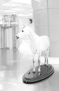 IMG_3010Trial SW LAB 2.jpg