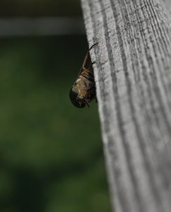 IMG_7367.jpg IMG_7367.jpg